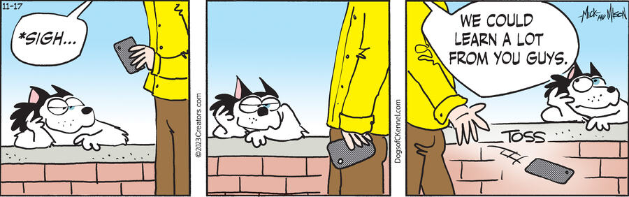 Dogs of C-Kennel for Nov 17, 2023
