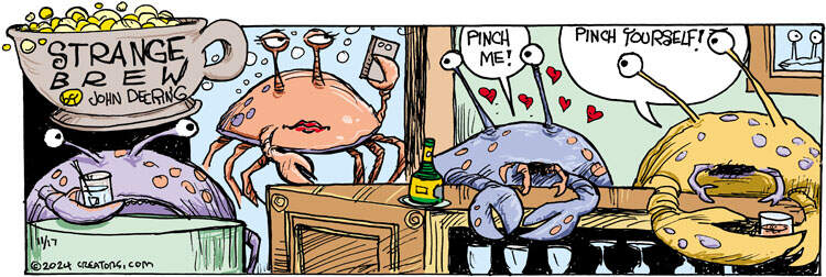 Strange Brew for Nov 17, 2024