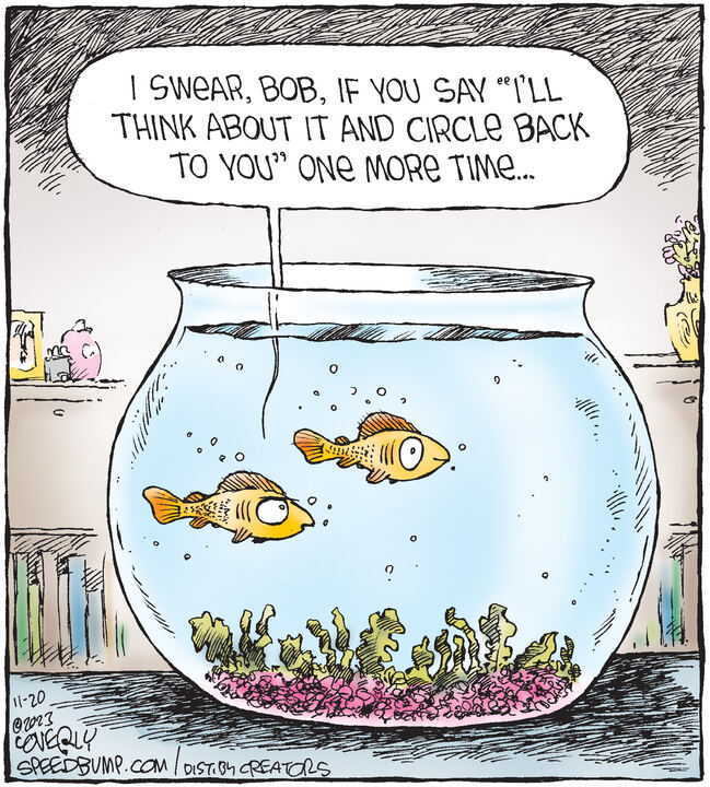 Speed Bump for Nov 20, 2023