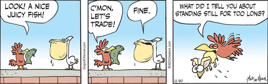 Dogs of C-Kennel for Nov 20, 2023