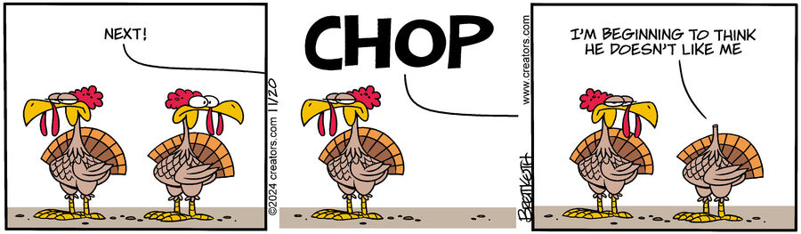 Diamond Lil for Nov 20, 2024