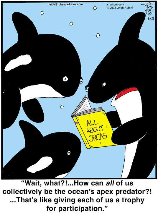 Rubes® for Nov 21, 2023