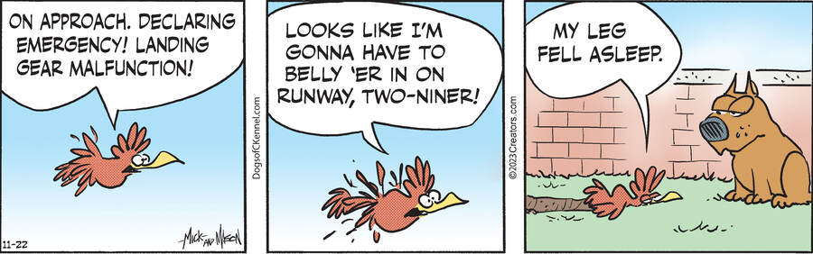 Dogs of C-Kennel for Nov 22, 2023