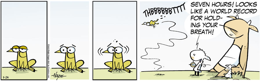 The Barn for Nov 24, 2023