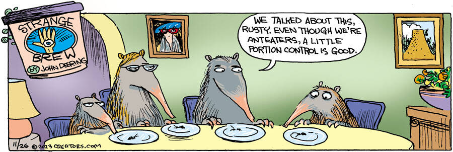 Strange Brew for Nov 26, 2023