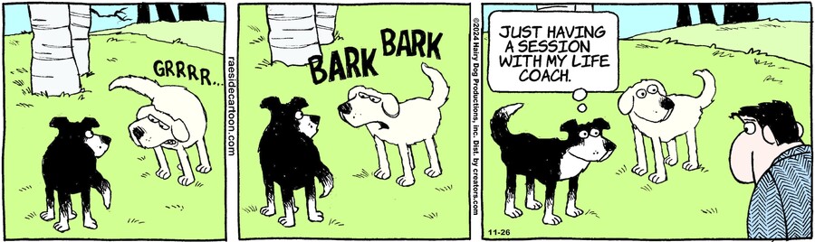 The Other Coast for Nov 26, 2024