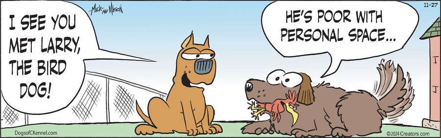 Dogs of C-Kennel for Nov 27, 2024