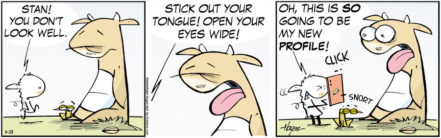 The Barn for Nov 28, 2024