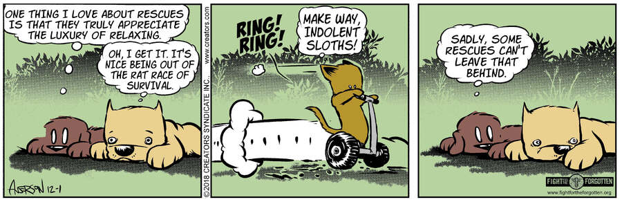 Dog Eat Doug for Dec 01, 2023