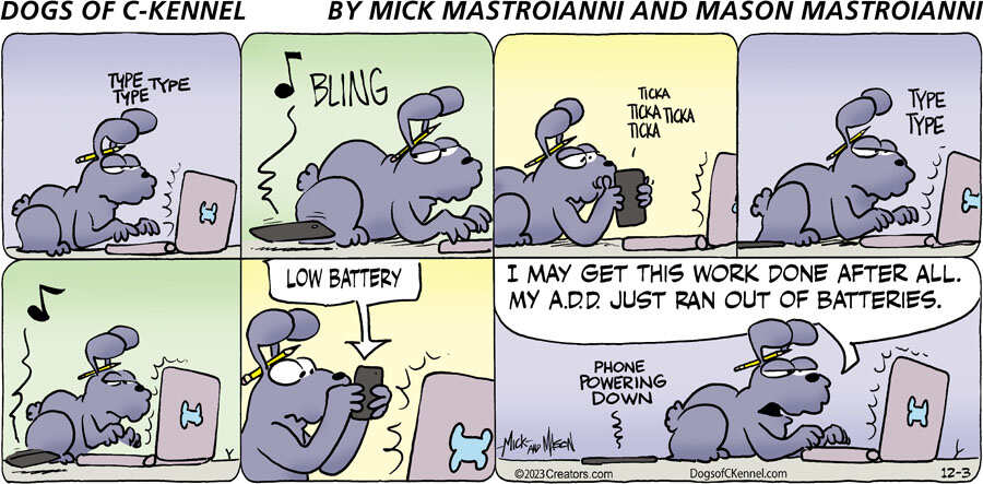 Dogs of C-Kennel for Dec 03, 2023