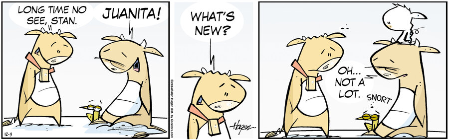 The Barn for Dec 03, 2024