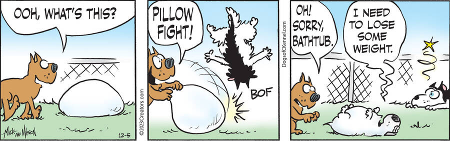 Dogs of C-Kennel for Dec 05, 2023