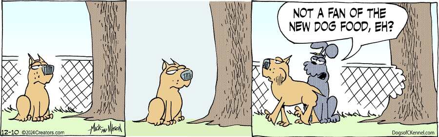 Dogs of C-Kennel for Dec 10, 2024