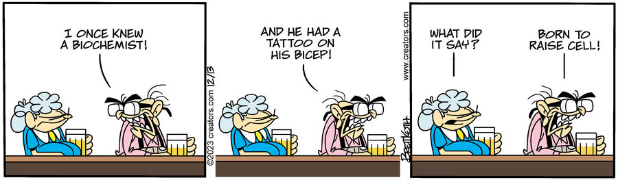 Diamond Lil for Dec 13, 2023