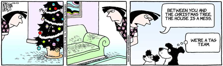 The Other Coast for Dec 13, 2024