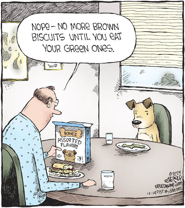 Speed Bump for Dec 14, 2024