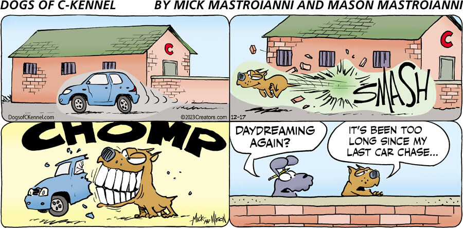 Dogs of C-Kennel for Dec 17, 2023