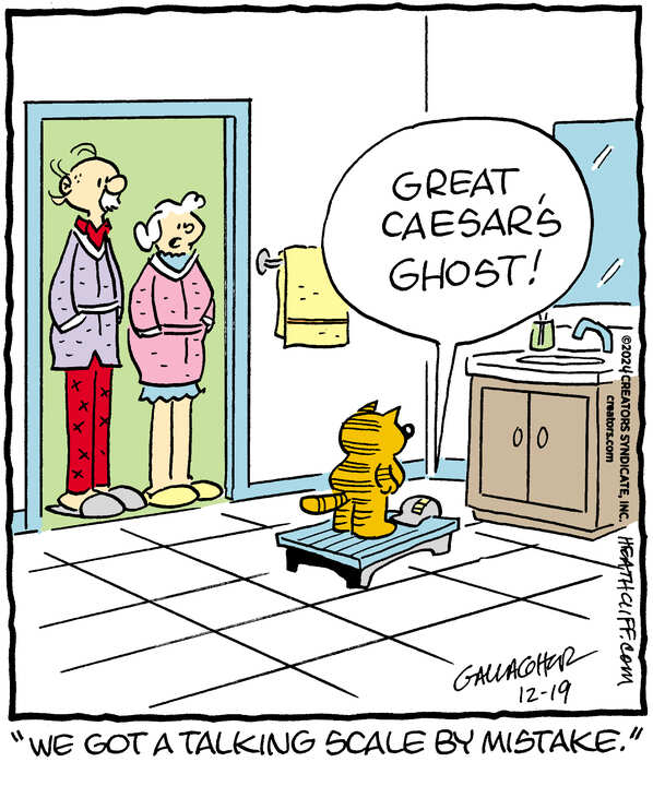 Heathcliff for Dec 19, 2024