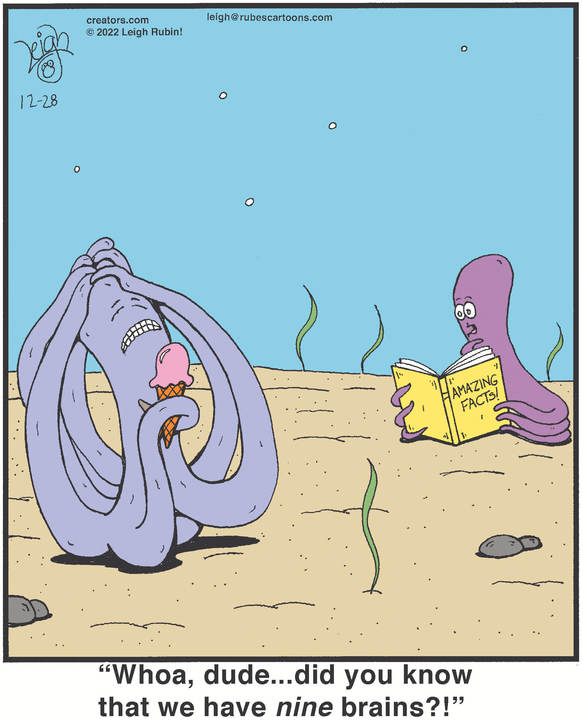 Rubes® for Dec 28, 2022