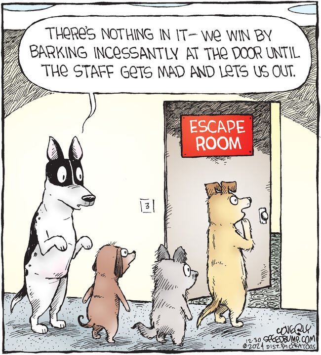 Speed Bump for Dec 30, 2024