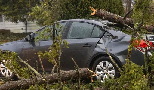 A tree lies fallen atop the rear section of a car near the intersection of Beech Street and Division Street on Sunday, March 30, 2025, after severe thunderstorms and high winds in East Lansing, Mich. (Arthur H. Trickett-Wile/MLive.com/The Grand Rapids Press via AP)