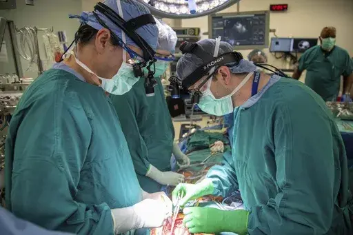 In this photo provided by Duke Health, surgeons Dr. Jacob Schroder, left, and Dr. Zachary Fitch perform a heart transplant at Duke University Hospital in Durham, N.C., in October 2022. Most transplanted hearts are from donors who are brain dead, but research published by Duke Health on Wednesday, June 7, 2023, shows a different approach can be just as successful and boost the number of available organs. It's called donation after circulatory death, a method long used to recover kidneys and other