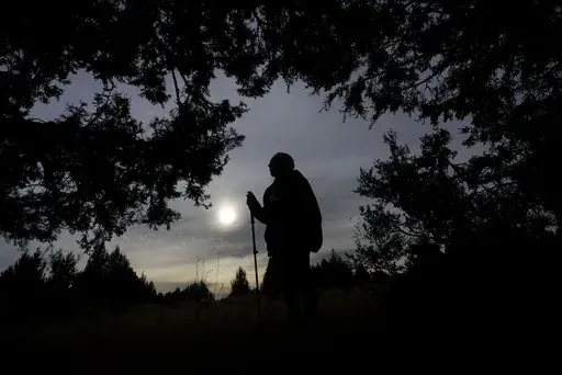Delaine Spilsbury, an Ely Shoshone elder, stands among Rocky Mountain juniper trees on Nov. 11, 2023, in Bahsahwahbee, a site in eastern Nevada that is sacred to members of the Ely Shoshone, Duckwater Shoshone and the Confederated Tribes of the Goshute Reservation. Their ancestors were massacred by white people on several occasions at this site and tribal members believe their spirits live on in the trees. Spilsbury has worked for years on federal recognition for the sacred site. (AP Photo/Rick 