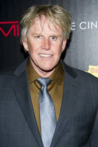 In this Oct. 25, 2012, file photo, Gary Busey attends a screening of "This Must Be the Place" in New York.  Busey has been charged with sexual offenses at a New Jersey fan convention this month. Cherry Hill police said Saturday, Aug. 20, 2022, that the 78-year-old Malibu, Calif., resident was charged Friday with criminal sexual contact and harassment. (Photo by Charles Sykes/Invision/AP, File)