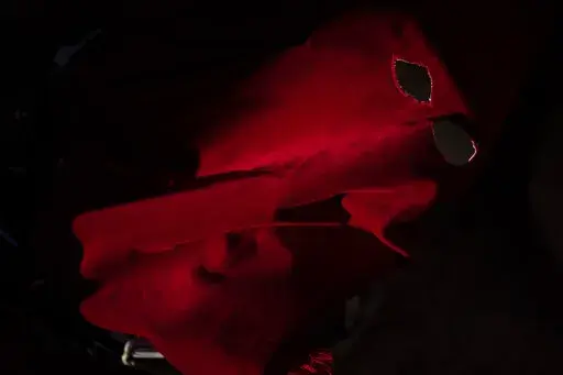 A hood of a penitent from 'Real Cofradia del Santisimo Cristo de las Injurias' also known as 'El Silencio' in Zamora, Spain, Wednesday, April 13, 2022. (AP Photo/Bernat Armangue)