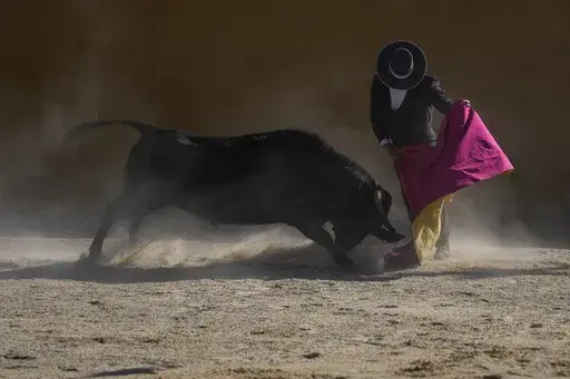 Bullfighter Sebastian Vargas performs a pass at the Hacienda Vista Hermosa bullring in Villa Pinzón, Colombia, Saturday, Feb. 25, 2023. Colombia is one of just eight countries where bullfights are still legal, but legislators are proposing a new law to ban them. (AP Photo/Fernando Vergara)