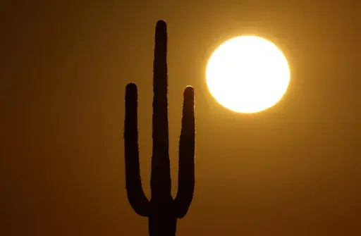 A saguaro cactus stands against the rising sun Monday, Feb. 22, 2016, in the desert north of Phoenix. The death of an older Arizona woman when her electricity was cut during a heat spell five years ago spurred changes in shutoff rules. The Arizona agency that oversees regulated utilities now bans power companies from cutting off power for failure to pay during Arizona's hottest months. (AP Photo/Charlie Riedel, File)