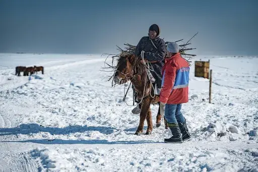 In this photo released by Mongolian Red Cross Society, a Mongolian herdsman prepares wood to provide heating for the family ger past near a member of the Mongolian Red Cross Society in Ulaangom Soum, Uvs province of Mongolia, on March 1, 2024. An extreme weather phenomenon known as the dzud has killed more than 7.1 million animals in Mongolia this year, more than a tenth of the country’s entire livestock holdings, threatening herders’ livelihoods and way of life. (Mongolian Red Cross Society