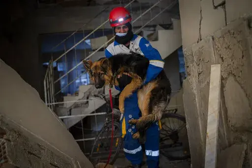 Mehmet Gurkan, a member of the Turkish animal rights group HAYTAP, rescues a dog that was trapped for seven days inside a house affected by the earthquake in Antakya, southeastern Turkey, on Sunday, Feb. 12, 2023. (AP Photo/Bernat Armangue)
