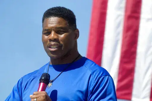 Georgia GOP Senate nominee Herschel Walker speaks during a campaign stop at Battle Lumber Co., Oct. 6, 2022, in Wadley, Ga. (AP Photo/Meg Kinnard, File)