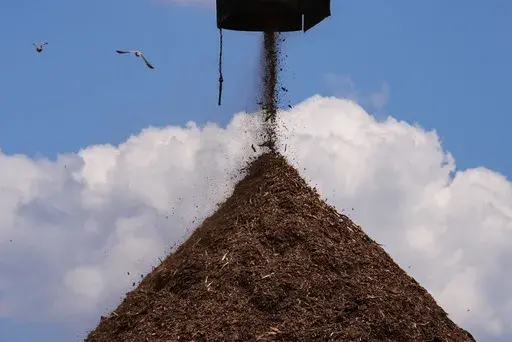 Birds fly past a pile of wood used to make pellets during a tour of a Drax facility in Gloster, Miss., Monday, May 20, 2024. British energy giant Drax Global, already under scrutiny for running afoul of environmental laws in multiple states, including Mississippi, recently disclosed that its Louisiana wood pellet production facilities emit hazardous air pollutants above their permitted limits. (AP Photo/Gerald Herbert, File)