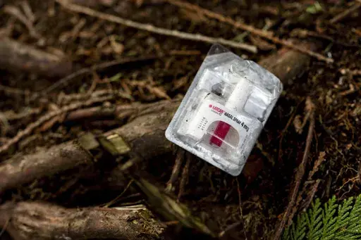 A container of Narcan, or naloxone, sits on tree roots at a longstanding homeless encampment in Bellingham, Wash., on Thursday, Feb. 8, 2024. (AP Photo/Lindsey Wasson, File)