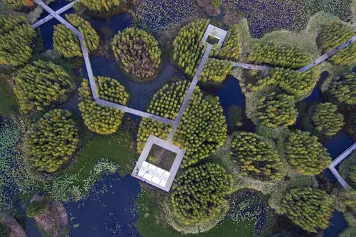 A walkway goes through ponds and islets at the "Fish Tail" sponge park that's built on a former coal ash dump site in Nanchang in north-central China's Jiangxi province on Sunday, Oct. 30, 2022. The concept of the park involves creating and expanding parks and ponds within urban areas to prevent flooding and absorb water for times of drought. (AP Photo/Ng Han Guan)
