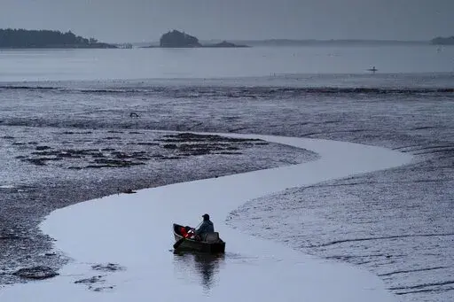 Clam digger Scott Lavers paddles his canoe on his way to work on a mudflat exposed by the receding tide, in this Friday, Sept. 4, 2020, file photo in Freeport, Maine. Warming waters and invasive species are threatening a way of life for many in the country's seafood industry. (AP Photo/Robert F. Bukaty)
