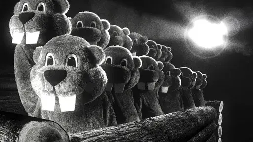 This image released by SRH shows a scene from the film "Hundreds of Beavers." (SRH via AP)