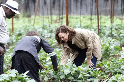U.S. Vice President Kamala Harris visits Panuka farms outside Lusaka, Zambia, Saturday April 1, 2023. Harris is on the last leg of a a seven-day African visit that took her to Ghana and Tanzania. (AP Photo/Angela Nandeka)