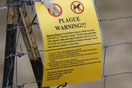 A bubonic plague warning sign is displayed at a parking lot near the Rocky Mountain Arsenal Wildlife Refuge, Saturday, Aug. 10, 2019, in Commerce City, Colo. Officials in central Oregon this week reported a case of bubonic plague in a resident who likely got the disease from a sick pet cat. (AP Photo/David Zalubowski, File)