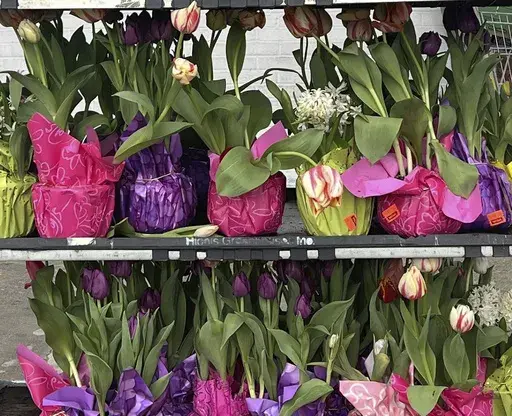 This March 18, 2024, image provided by Jessica Damiano shows spring gift plants on display in Old Brookville, NY. (Jessica Damiano via AP)