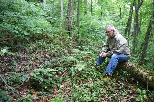 Ed Evans, Democratic West Virginia delegate and retired public school teacher, sits beside a sunken grave in the unmarked cemetery where more than 80 coal miners killed in the 1912 Jed Coal and Coke Company disaster are buried in Havaco, W.Va., on June 7, 2022. (AP Photo/Leah Willingham)