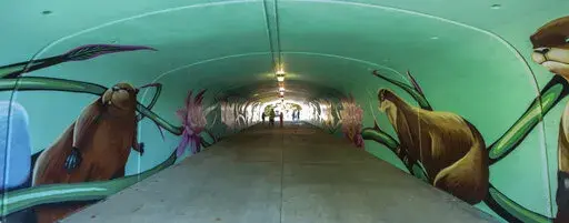 A view from inside "Together as One," a new mural at the Stone Barefield underpass on the Longleaf Trace in Hattiesburg, Miss., Friday, Nov. 19, 2021. Hattiesburg was included in the list in Travel and Leisure magazine thanks to  the many murals and sculptures found throughout the city. “Home to more than 40 public art installations including murals, sculpture and brightly painted utility boxes, Hattiesburg is committed to making art available to all its citizens,” the article says.  (Domini