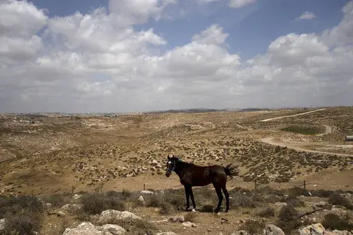 A horse belonging to Israeli settler Yinon Levi is seen at his farm in the West Bank outpost of Meitarim, Sunday, May 12, 2024. The Israeli government has budgeted millions of dollars in security support for small, unofficial Jewish outposts in the Israeli-occupied West Bank, which is enabling the expansion of Jewish settlements while circumventing the official planning process, according to a human rights group. (AP Photo/Maya Alleruzzo, File)