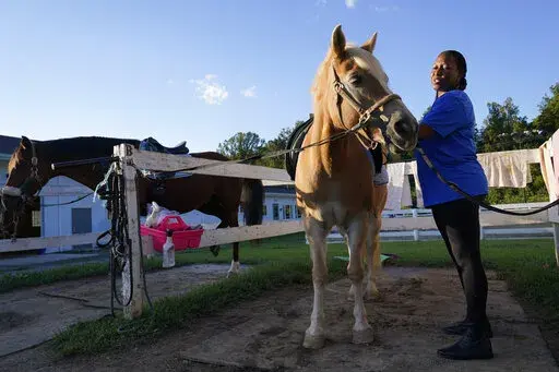 Dionne Williamson, of Patuxent River, Md., grooms Woody before her riding lesson at Cloverleaf Equine Center in Clifton, Va., Tuesday, Sept. 13, 2022. After finishing a tour in Afghanistan in 2013, Williamson felt emotionally numb. As the Pentagon seeks to confront spiraling suicide rates in the military ranks, Williamson’s experiences shine a light on the realities for service members seeking mental health help.  (AP Photo/Susan Walsh)