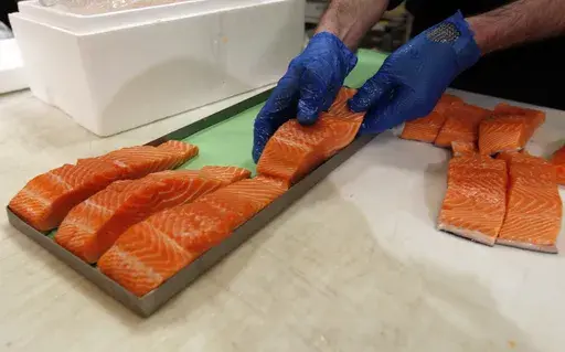 Canadian certified organic farm-raised King Salmon filets are placed on a tray in a store in Fairfax, Va., April 10, 2015. (AP Photo/Alex Brandon)
