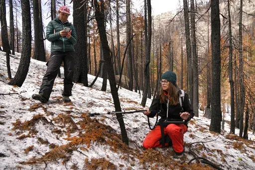Graduate student Arielle Koshkin, left, takes notes as snow hydrologist Anne Nolin, right, measures snow reflectivity at the site of the 2021 Caldor Fire Monday, April 4, 2022, near Twin Bridges, Calif. As wildfires increase in severity and frequency across the West, researchers are studying how charred bark shedding from scorched trees may be further disrupting water supplies by contributing to an acceleration of snow melt to rivers, possibly leaving less water flowing in the summer when it's m