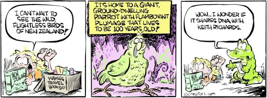 Shrimp and Grits for Jan 18, 2024