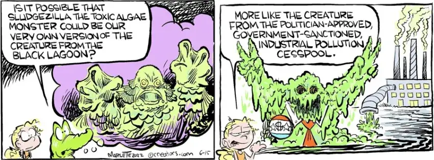 Shrimp and Grits for Jun 15, 2024